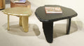 Twins Coffee Table